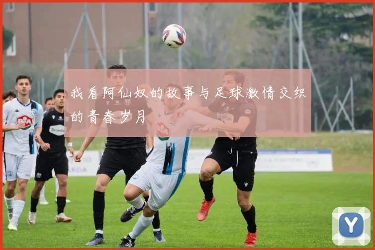 我看阿仙奴的故事与足球激情交织的青春岁月